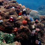 568068888_3731411126990381_8070734119897763819_n