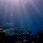 568082239_3731410953657065_4194017183043188151_n