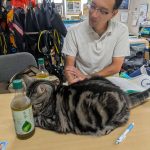 568943680_3731411220323705_6871714796422418450_n