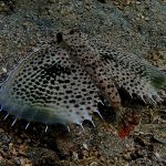 569049208_3731410756990418_8464304143706530236_n