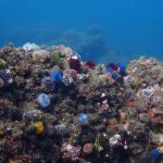 577037408_3756104311187729_7773205332553785791_n