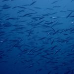 577971680_3756104164521077_6064785616496887594_n