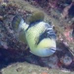 578959020_3756104377854389_1156560573408428059_n