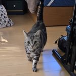 590734525_3780629278735232_7882086266177569984_n